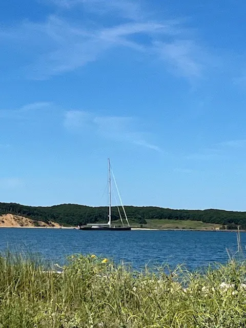 Montauk Row 4