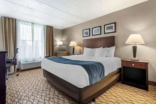 Comfort Inn & Suites Glen Mills - West Chester 5