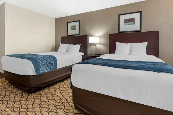Comfort Inn & Suites Glen Mills - West Chester 5
