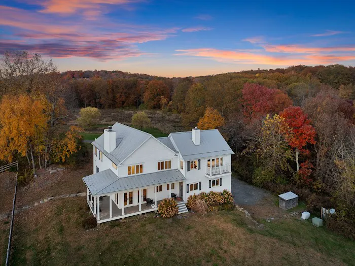 Wander Pine Plains 4