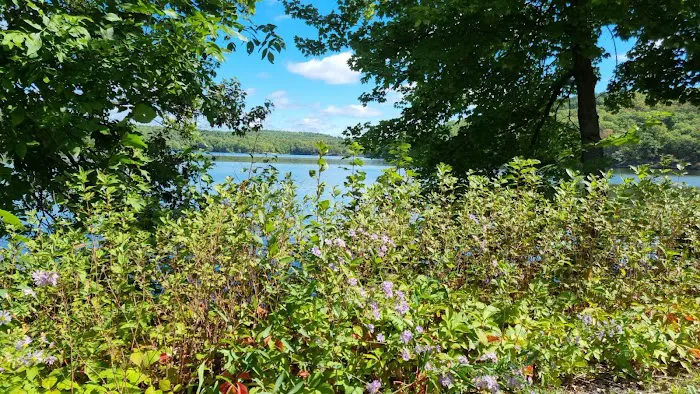Lake Taghkanic Cabins 4