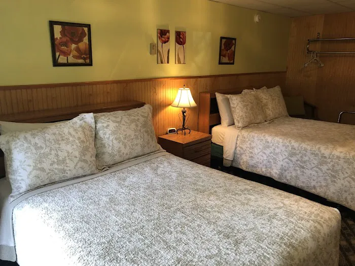 The Shamrock House 4