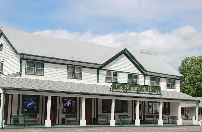 The Shamrock House 4