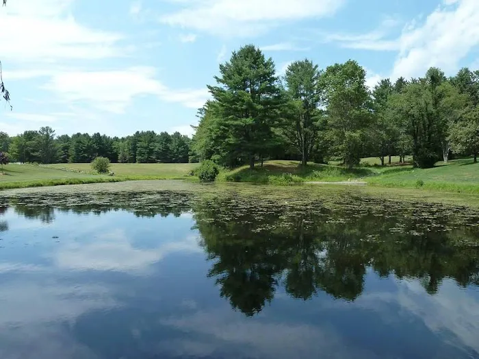 Baumann's Brookside 4