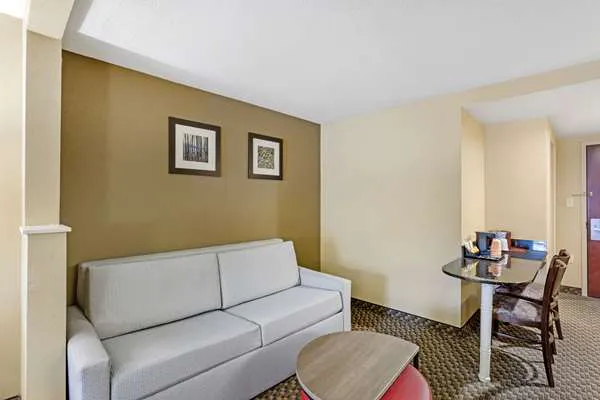 Comfort Inn & Suites 5
