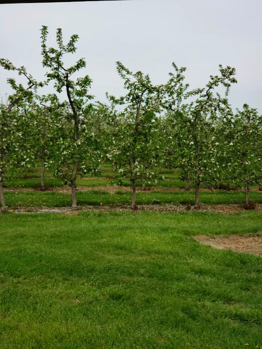 Orchard Inn 4