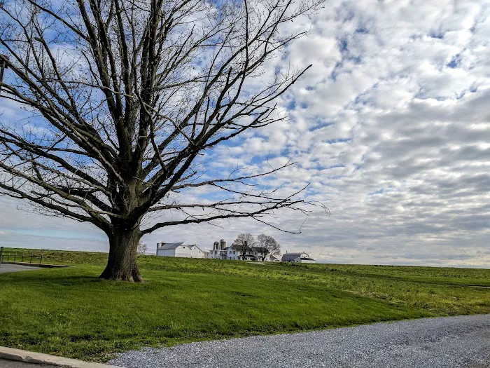 Olde Amish Inn Ronks 4