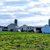 Olde Amish Inn Ronks ico