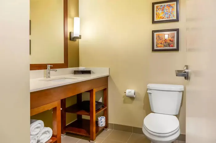Comfort Inn & Suites Gap Amish Country 4