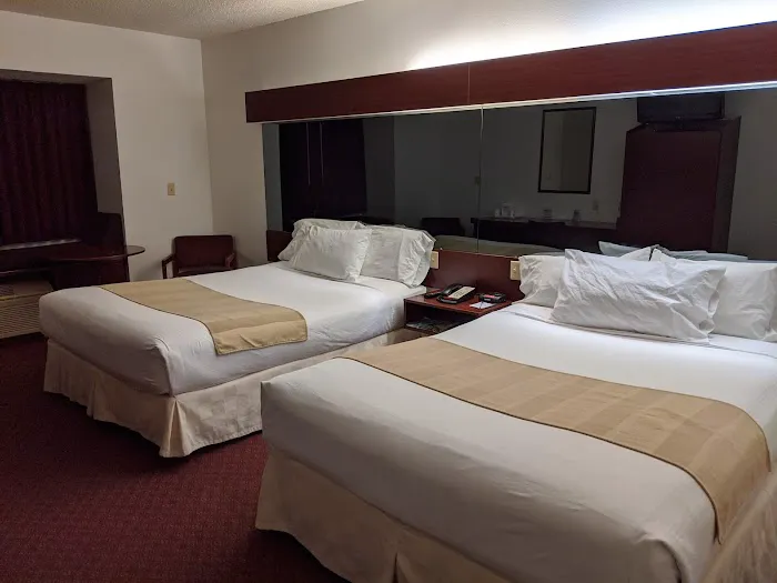 Microtel Inn & Suites by Wyndham Hamburg 4
