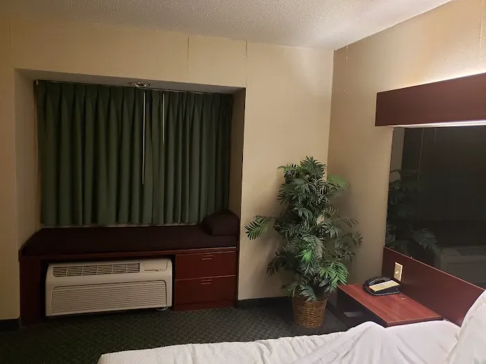 Microtel Inn & Suites by Wyndham Hamburg 4