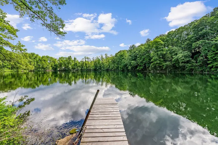 Wander Lakefront Retreat 5
