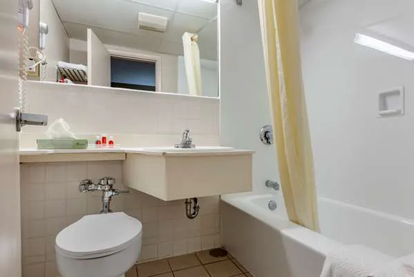 Econo Lodge Dewitt I-90 4