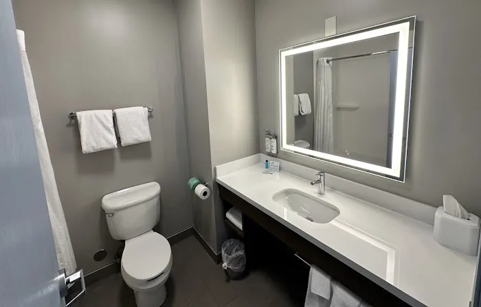 Holiday Inn Express & Suites Dewitt (Syracuse) by IHG 4