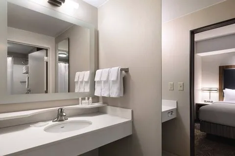 SpringHill Suites Syracuse Carrier Circle 4