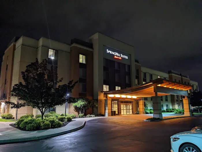SpringHill Suites Syracuse Carrier Circle 4