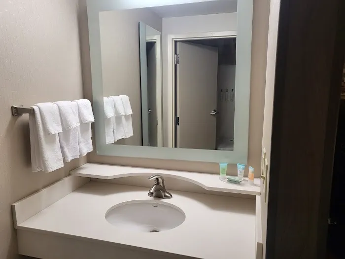 SpringHill Suites Syracuse Carrier Circle 4