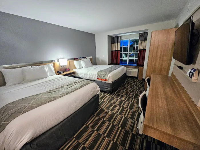 Microtel Inn & Suites by Wyndham Amsterdam 4