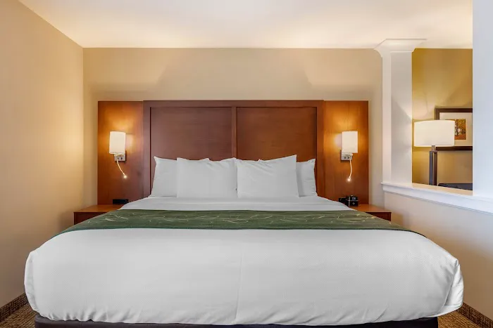 Comfort Inn & Suites Schenectady -Scotia 4