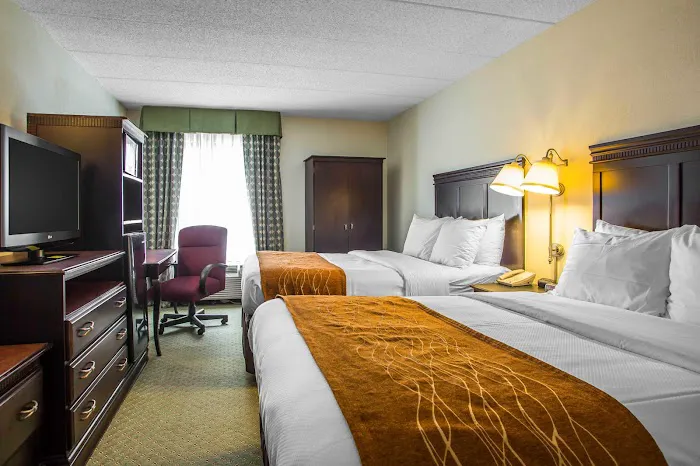 Comfort Inn & Suites 4