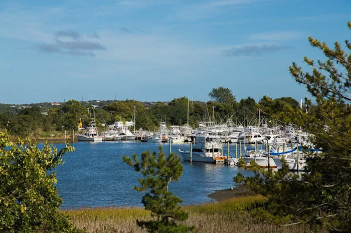 North Harbor Condos 4