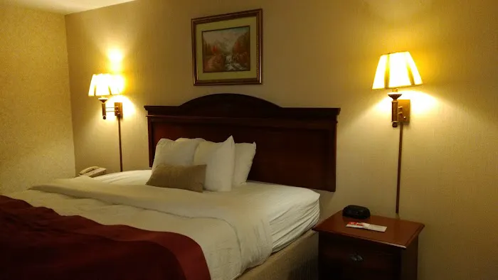 Pottsville Hotel 4