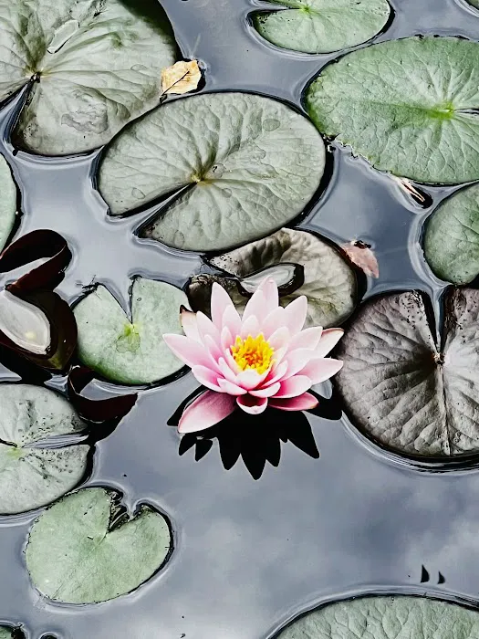 Berkshires Zen Retreat 4