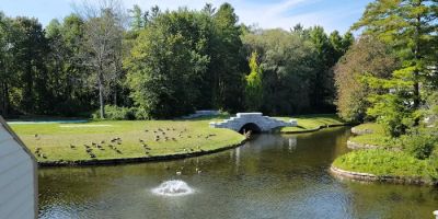 The Ponds at Foxhollow