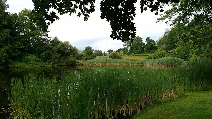 The Ponds at Foxhollow 4