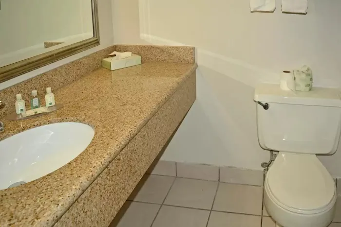 Quality Inn & Suites East Syracuse - Carrier Circle 4