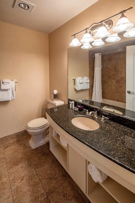 Collegian Hotel & Suites, Trademark Collection by Wyndham 5