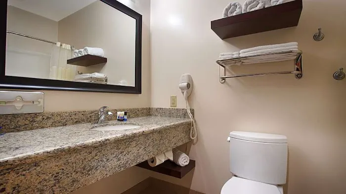 Best Western Plus Finger Lakes Inn & Suites 4
