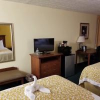 The Schenectady Inn & Suites ico