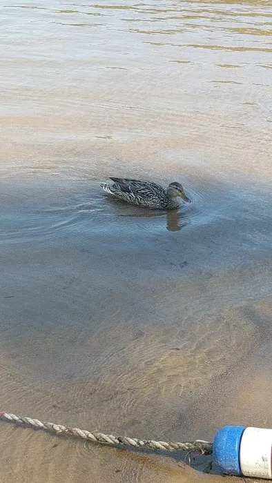 Pine Lake Park 4