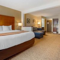 Comfort Inn & Suites Wilkes Barre - Arena ico