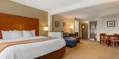 Comfort Inn & Suites Wilkes Barre - Arena