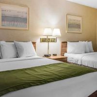 Quality Inn Arena ico