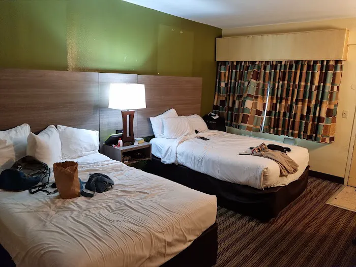 Quality Inn Flamingo 4