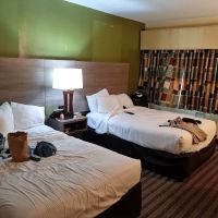 Quality Inn Flamingo ico