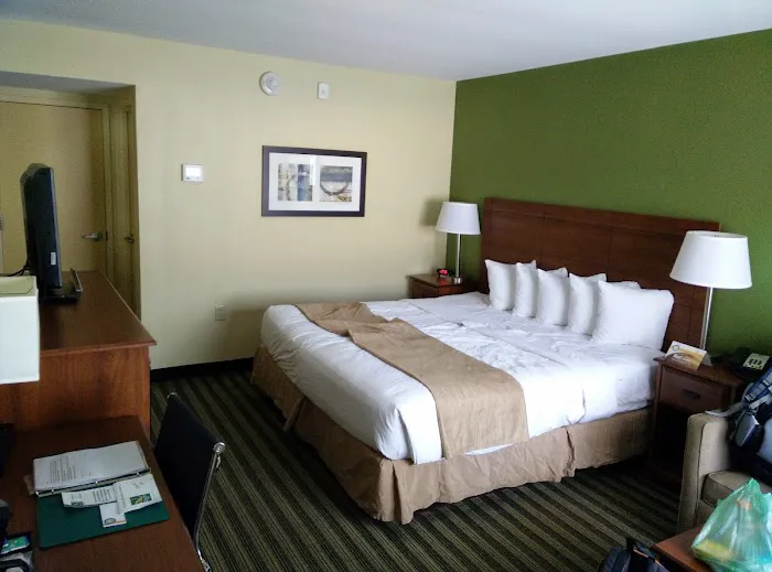 Quality Inn Flamingo 4