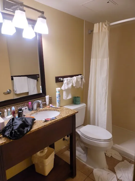 Quality Inn Flamingo 4