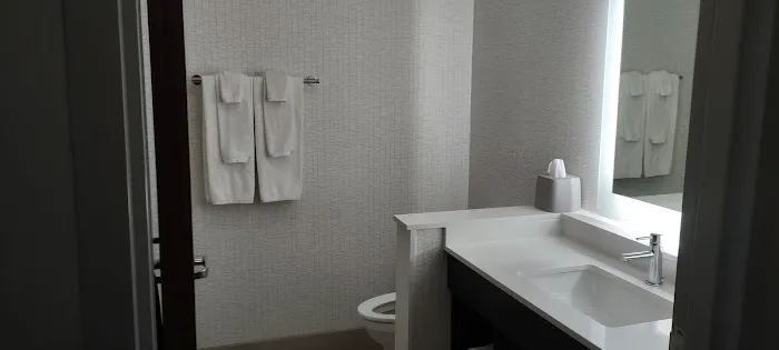 Holiday Inn Express & Suites Lancaster - Mount Joy, an IHG Hotel 4