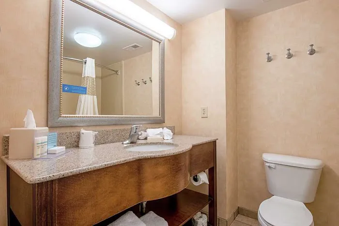 Hampton Inn Pine Grove 4