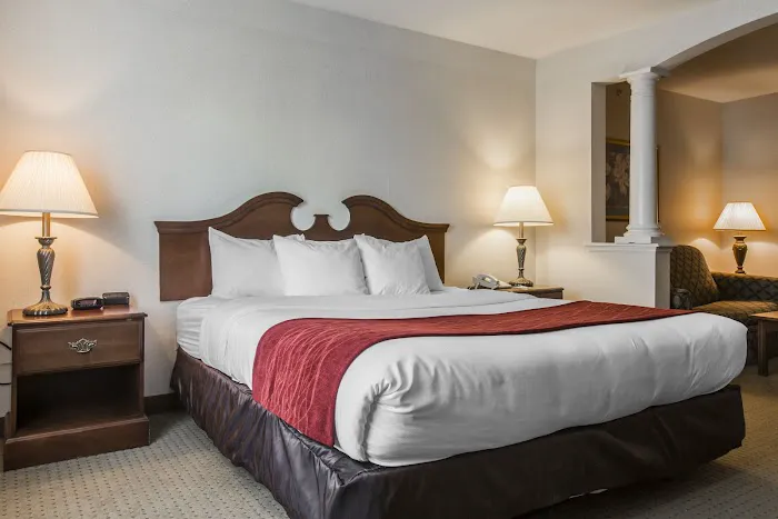 Comfort Inn & Suites East Greenbush - Albany 4