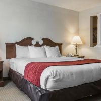 Comfort Inn & Suites East Greenbush - Albany ico