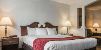 Comfort Inn & Suites East Greenbush - Albany