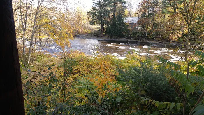 Fish Creek Cabin Resort 4