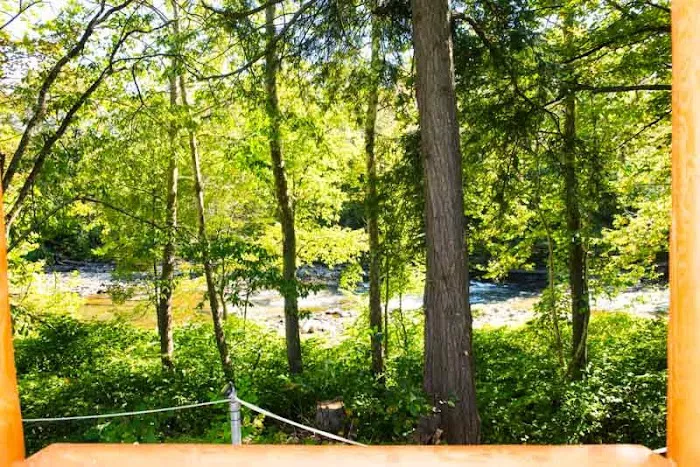 Fish Creek Cabin Resort 4