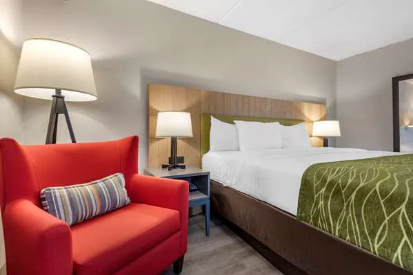 Comfort Inn & Suites Liverpool - Syracuse North 4