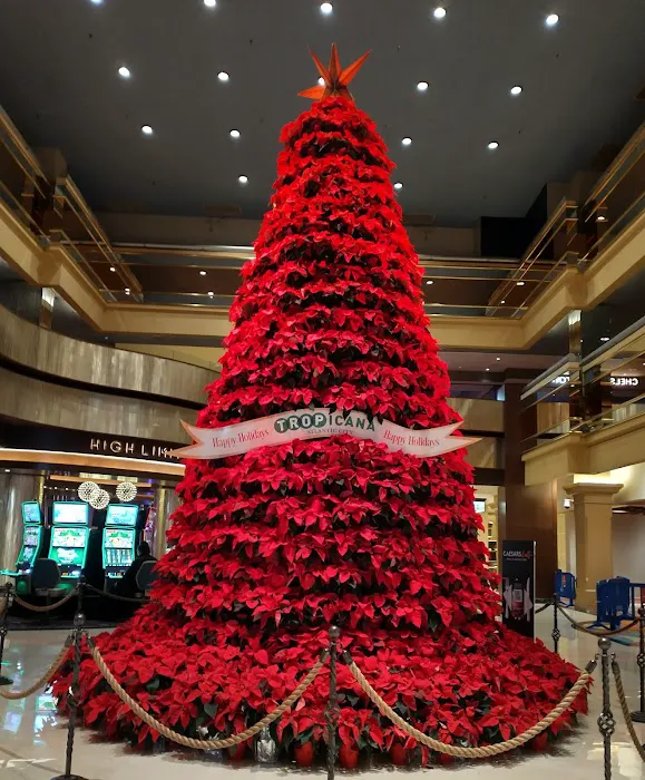 Tropicana Atlantic City 4